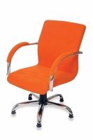 CEVO Misafir Koltuğu