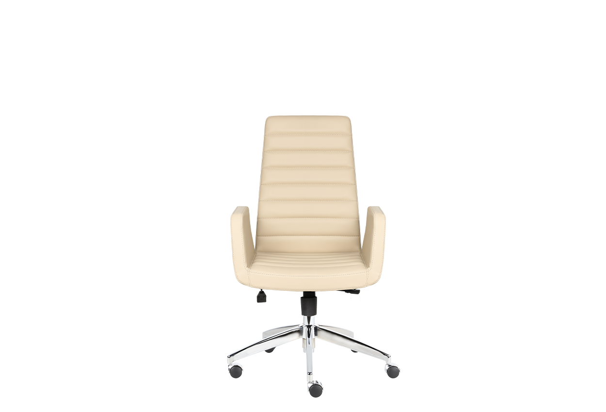 Arya Yönetici Koltuğu