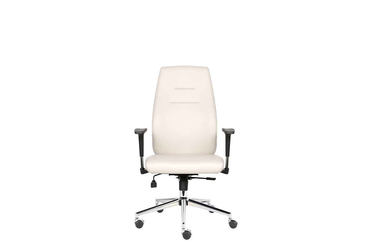 Darvin Yönetici Koltuğu